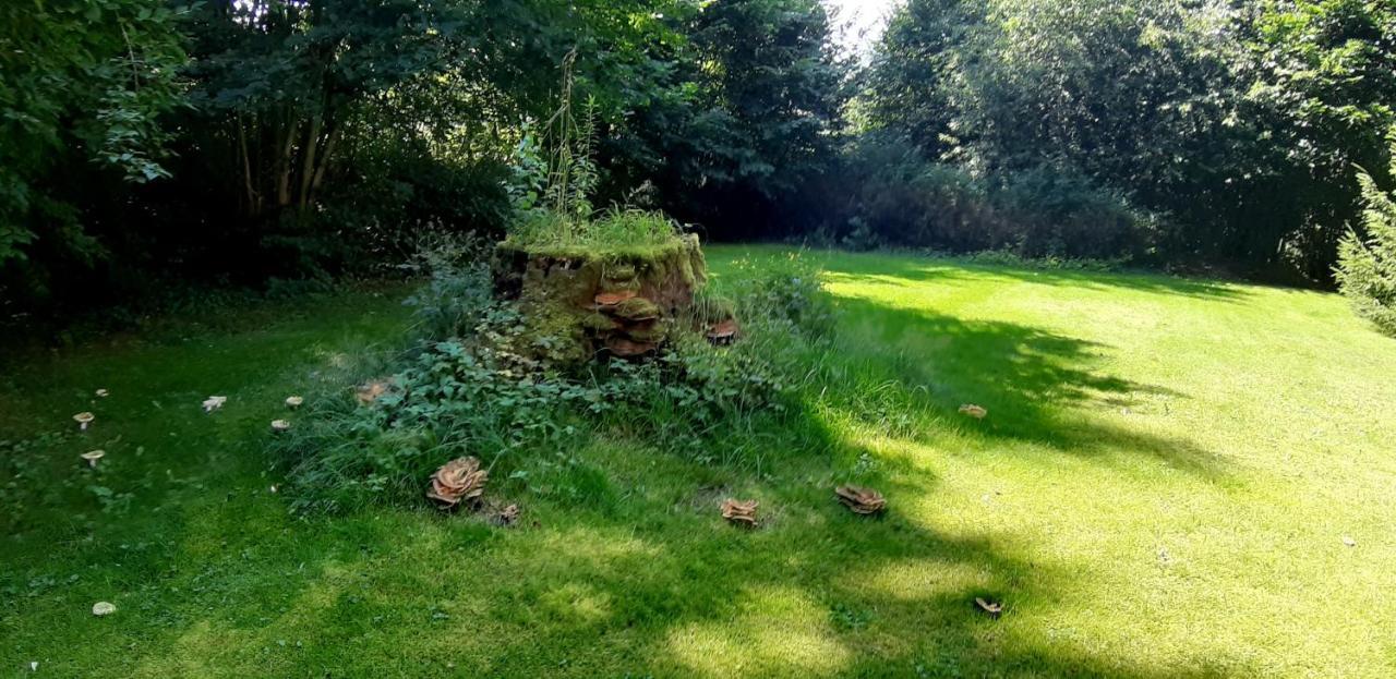 شقة Vogtlandperle Oelsnitz  المظهر الخارجي الصورة